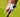 Is Your Golf Grip Holding You Back? How to Check and Fix It