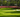 Learn to Track Your Game Like the Pros (And Why That’s Not Just Wishful Thinking) - Voice Caddie