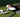 Golf 101: Equipment