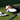 Golf 101: Equipment