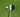 Face Angle vs. Club Path: Why Your Ball Goes That Way