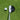 Face Angle vs. Club Path: Why Your Ball Goes That Way