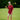 TL1 Laser Rangefinder Golf Sidekick Special.