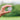 VC4 Voice Golf GPS